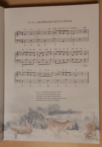 deutsche volkslieder - mit klavier - und akkordeonbegleitung