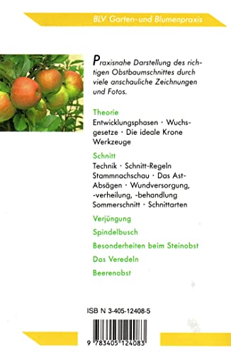 Obstbaumschnitt. Kern-, Stein- und Beerenobst.