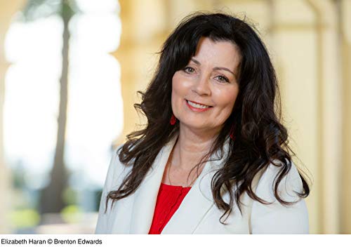 Träume unter roter Sonne: Roman