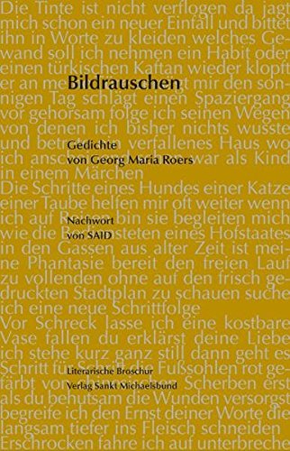 Bildrauschen: Gedichte