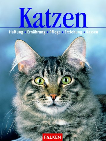 Katzen