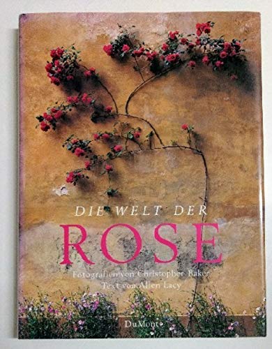 Die Welt der Rose