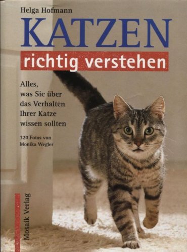 Katzen richtig verstehen: Alles, was Sie über das Verhalten Ihrer Katze wissen sollten