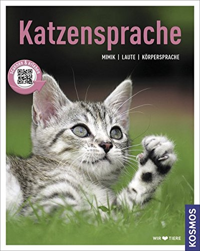 Katzensprache: Mimik, Laute, Körpersprache