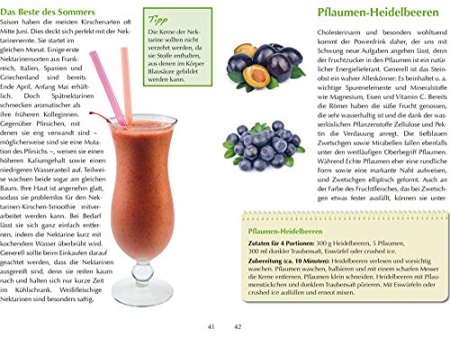 Die leckerstenSmoothies & Powerdrinks: Herstellung. Geschmack. Wirkung