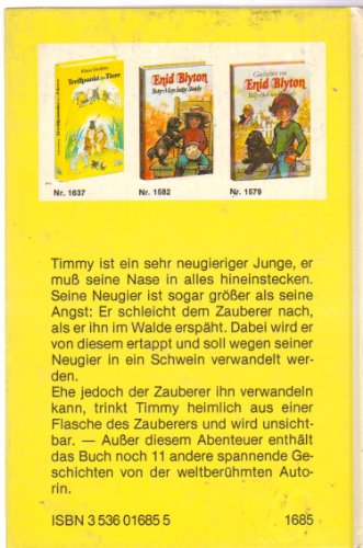 Der unsichtbare Junge und andere zauberhafte Geschichten