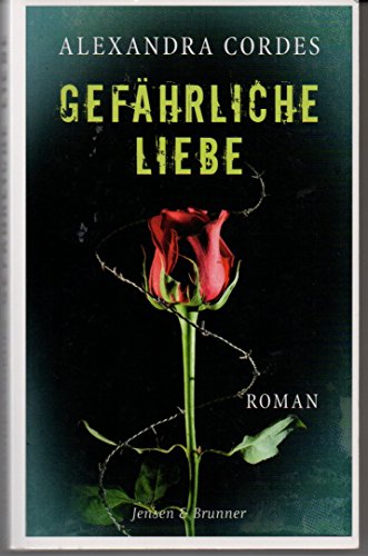 Gefährliche Liebe. Roman.