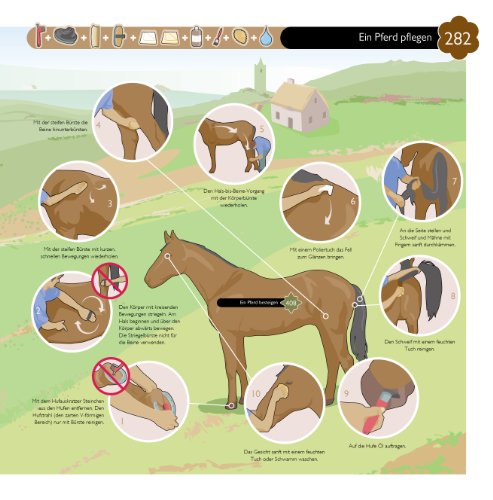 So geht das! Das ultimative Anleitungsbuch. 500 Dinge und wie man sie macht