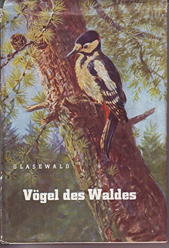 Vögel des Waldes