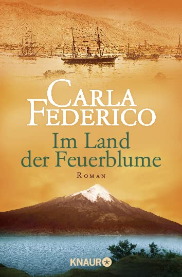 Im Land der Feuerblume (Die Chile-Trilogie, Band 1)
