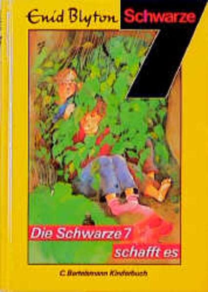 Die Schwarze Sieben, Bd.7, Die Schwarze Sieben schafft es (Die Schwarze 7)