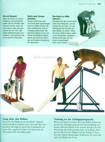 Hunde erziehen: Mein Übungsbuch für unterwegs