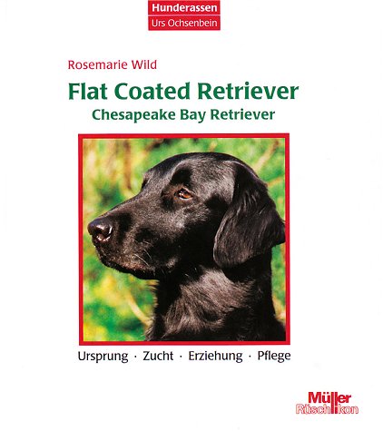 Flat Coated Retriever, Chesapeake Bay Retriever