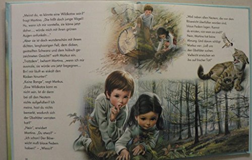 Entdeck mit uns die Tiere im Wald!