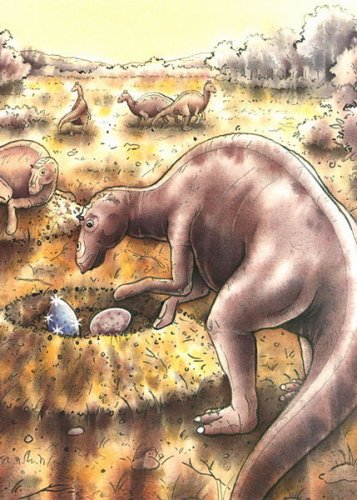 Komm mit ins Abenteuerland. Meine 5 liebsten Bilderbuchgeschichten (Kleiner Eisbär nimm mich mit! / Der Regenbogenfisch stiftet Frieden / Gute Besserung Pauli / Der kleine Dino / Jonathan die freche Maus)