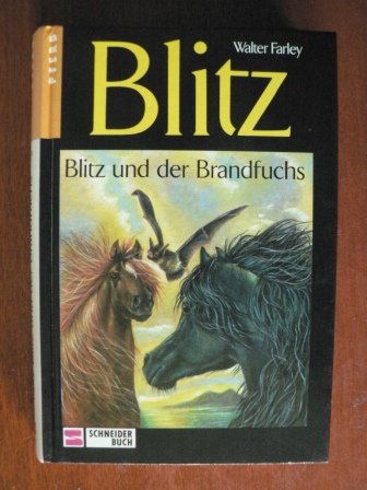 Blitz, Bd.8, Blitz und der Brandfuchs