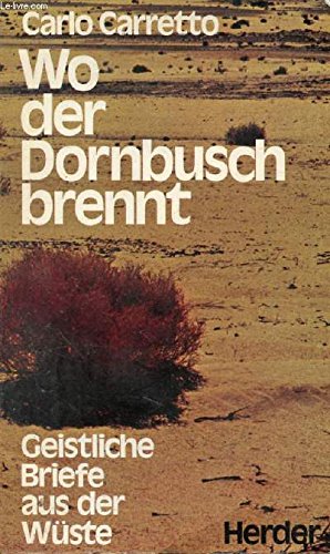 Wo der Dornbusch brennt: Geistliche Briefe aus der Wüste