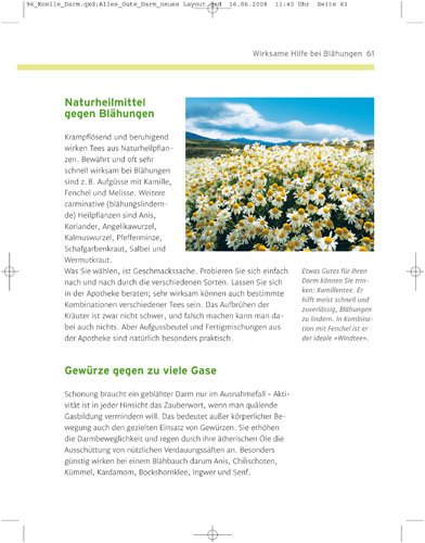 Das tut dem Darm gut: Natürlich vorbeugen - sanft behandeln