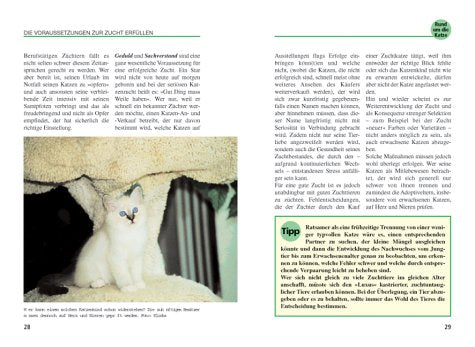 Katze und Kind. Ratgeber rund um die Katze.