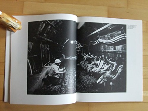 Unternehmen Braunkohle. Geschichte eines Rohstoffs, eines Reviers, einer Industrie im Rheinland