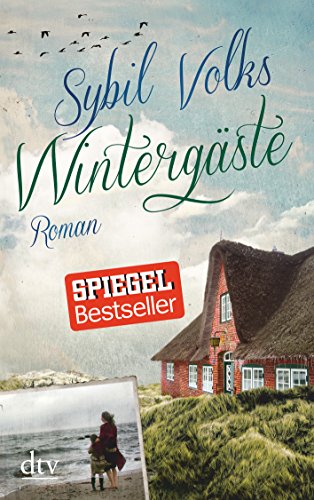 Wintergäste: Roman (Die Familie-Boysen-Reihe, Band 1)