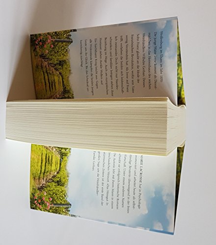 Das Weingut. In stürmischen Zeiten: Roman