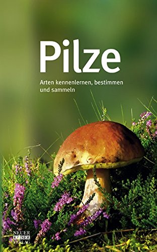 Pilze: Arten kennenlernen, bestimmen und sammeln