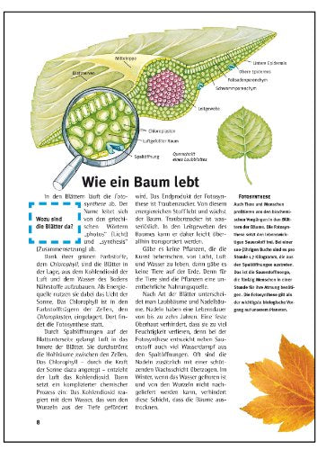 Was ist was, Band 031: Bäume