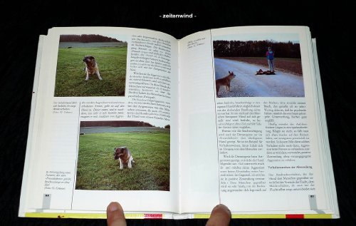 Hund und Mensch im Zwiegespräch