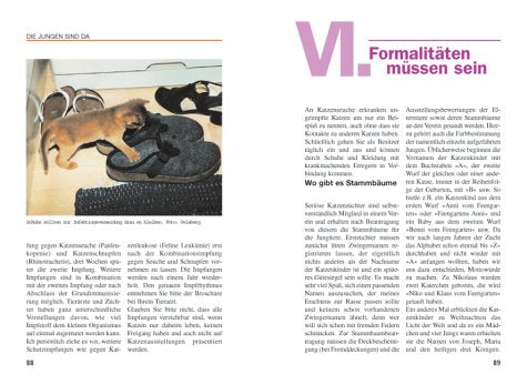 Katze und Kind. Ratgeber rund um die Katze.