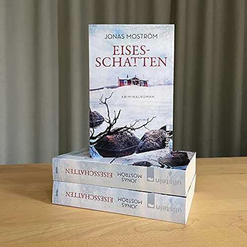 Eisesschatten: Kriminalroman (Ein Nathalie-Svensson-Krimi, Band 5)