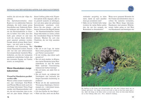 Katze und Kind. Ratgeber rund um die Katze.