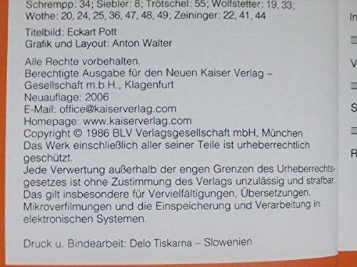 Frühling im Wald: Pflanzen und Tiere