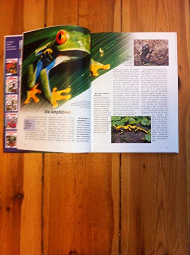 Was ist was, Band 020: Reptilien und Amphibien