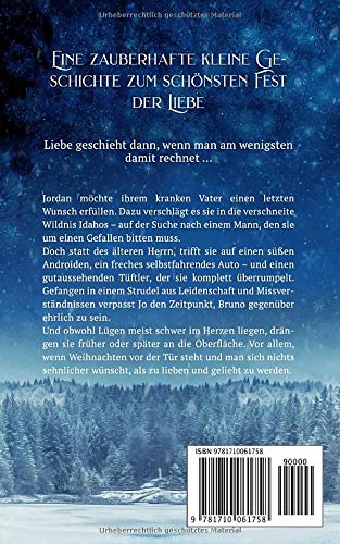 Zu Weihnachten ein Millionär