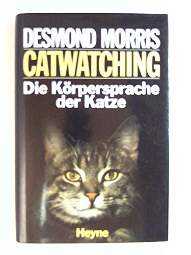 Catwatching: Die Körpersprache der Katze