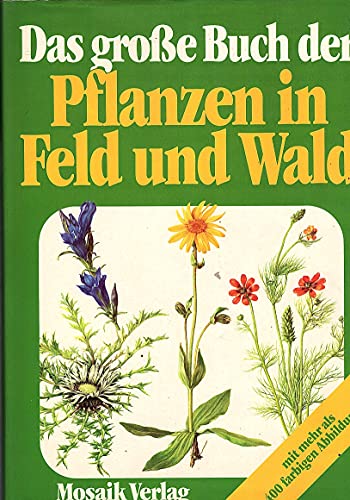 Das grosse Buch der Pflanzen in Feld und Wald