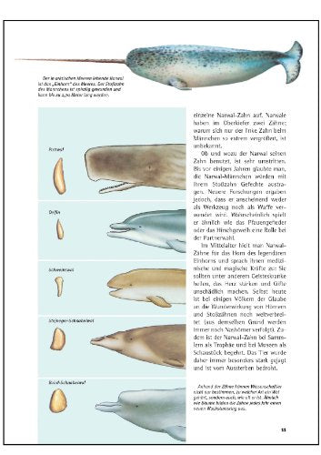 Was ist was, Band 085: Wale und Delfine