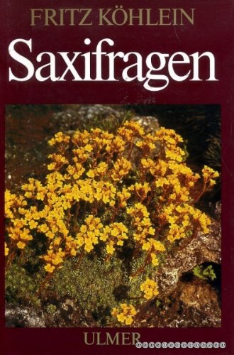 SAXIFRAGEN und andere Steinbrechgewachse