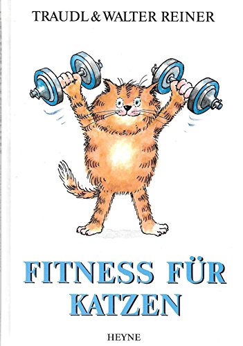 Fitness für Katzen