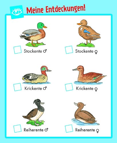 Erlebe die Natur: Frühling, Sommer, Herbst