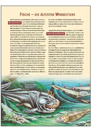 Was ist was, Band 041: Fische