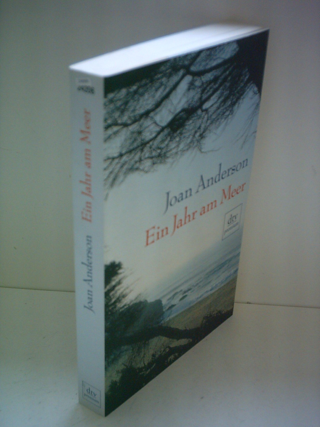 Ein Jahr am Meer: Aus dem Leben einer unvollendeten Frau