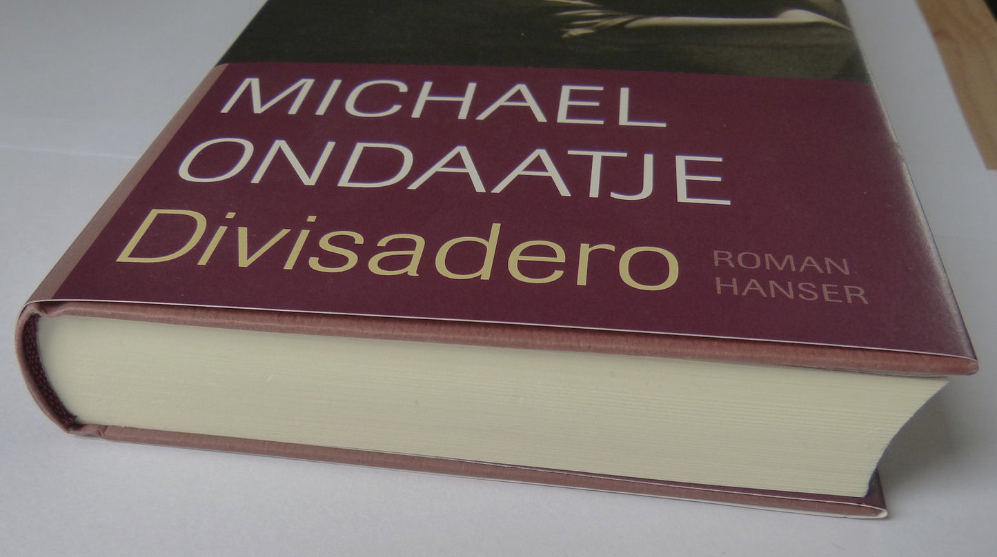 Divisadero: Roman