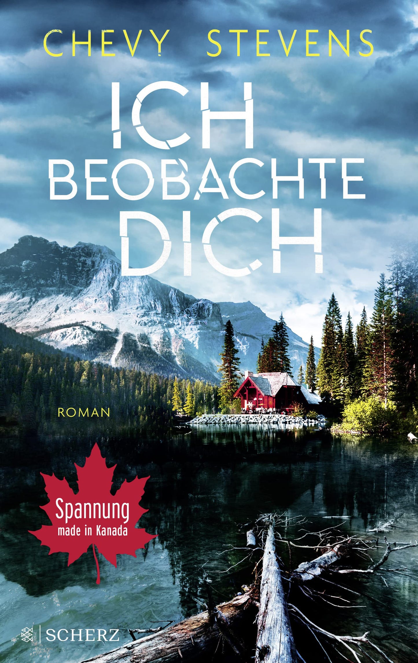 Ich beobachte dich: Roman