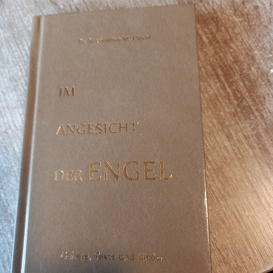 Im Angesicht der Engel  von Plöchl