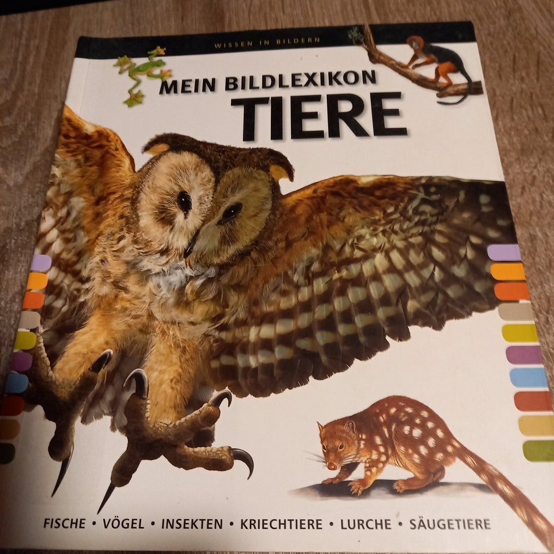 Mein Bildlexikon Tiere