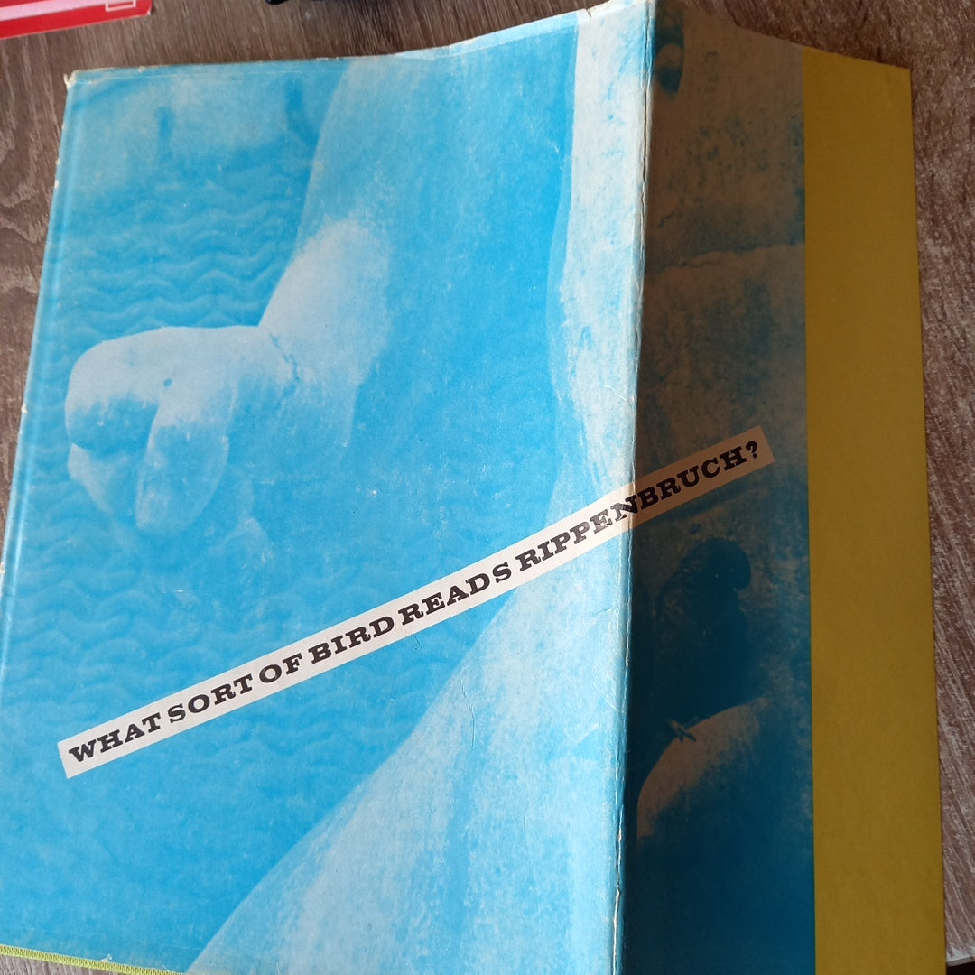 Der Rippenbruch von Alfred Wunderwald