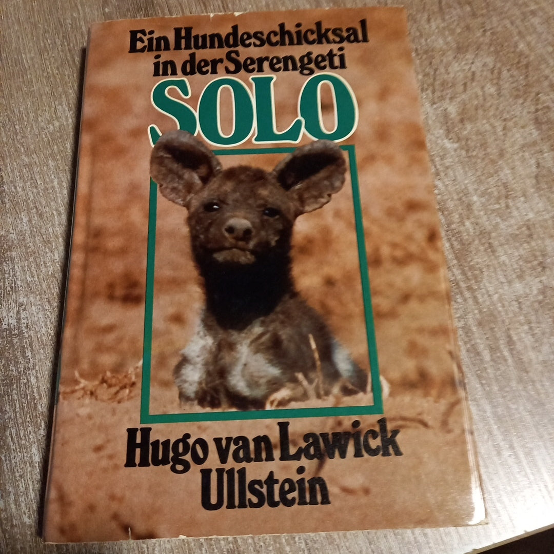 Solo ein Hundeschicksal in der Serengeti von van Lawick