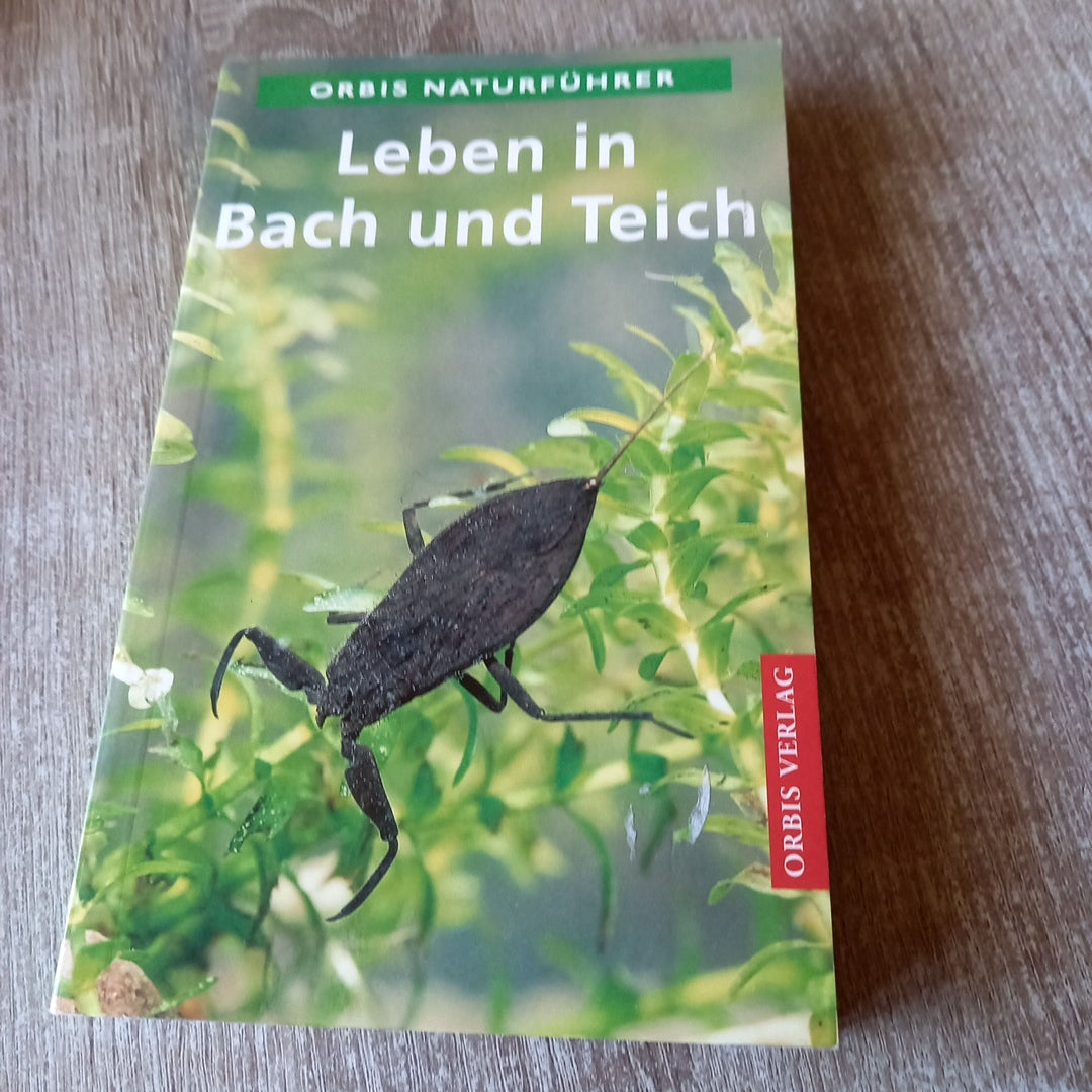 Leben in Bach und Teich